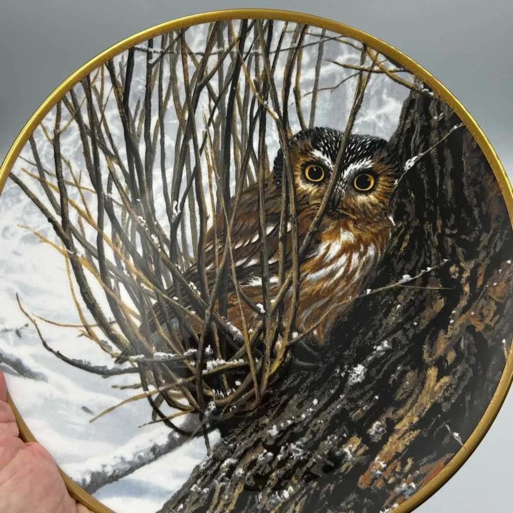 Spode Noble Owls of America Seerey-Lester Saw-whet Owl Art Decorative Plate LE